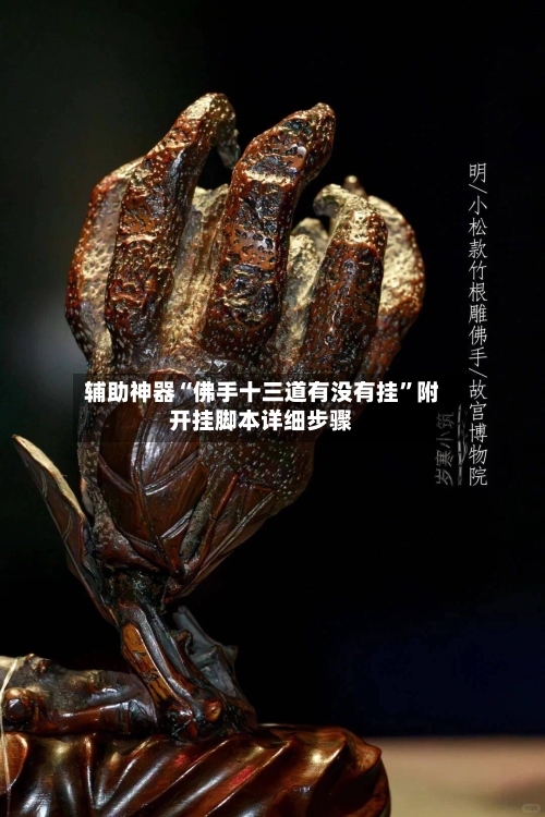 辅助神器“佛手十三道有没有挂”附开挂脚本详细步骤-第1张图片