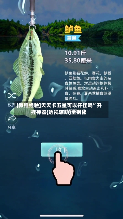 [教程经验]天天卡五星可以开挂吗”开挂神器{透视辅助}全揭秘-第1张图片