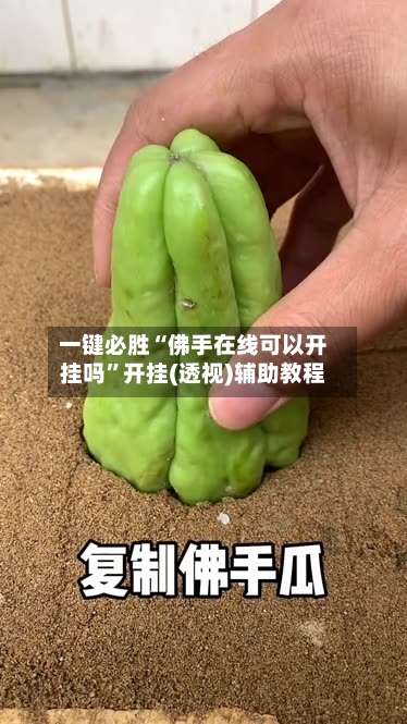 一键必胜“佛手在线可以开挂吗	”开挂(透视)辅助教程-第2张图片