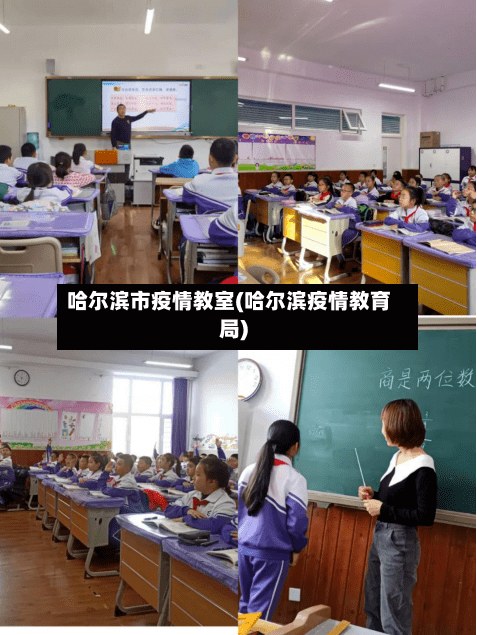 哈尔滨市疫情教室(哈尔滨疫情教育局)-第1张图片