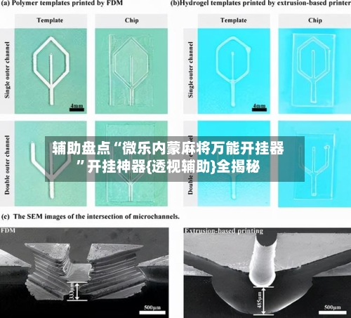 辅助盘点“微乐内蒙麻将万能开挂器	”开挂神器{透视辅助}全揭秘-第2张图片
