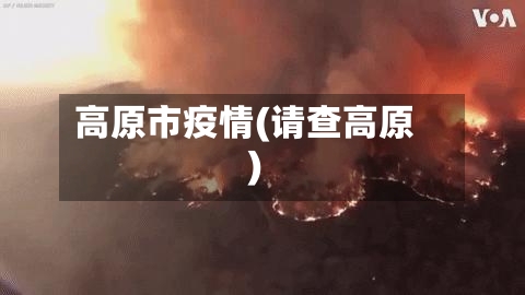 高原市疫情(请查高原)-第1张图片