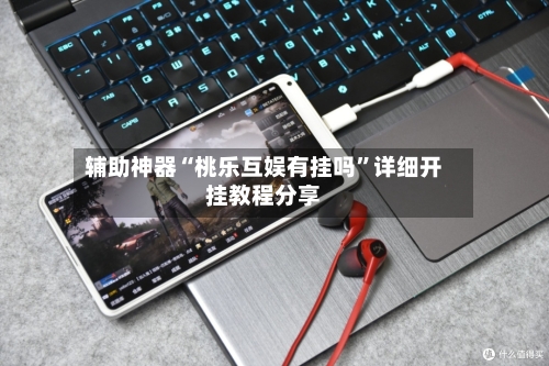 辅助神器“桃乐互娱有挂吗”详细开挂教程分享-第3张图片