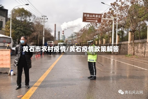 黄石市农村疫情/黄石疫情政策解答-第1张图片