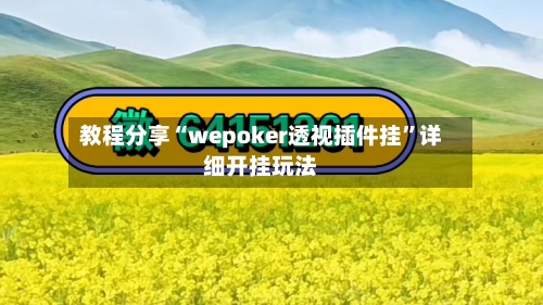 教程分享“wepoker透视插件挂	”详细开挂玩法-第1张图片