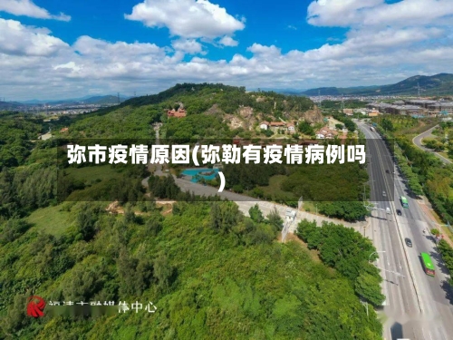 弥市疫情原因(弥勒有疫情病例吗)-第1张图片