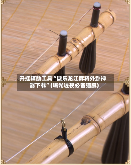 开挂辅助工具“微乐龙江麻将外卦神器下载	”(曝光透视必备猫腻)-第1张图片