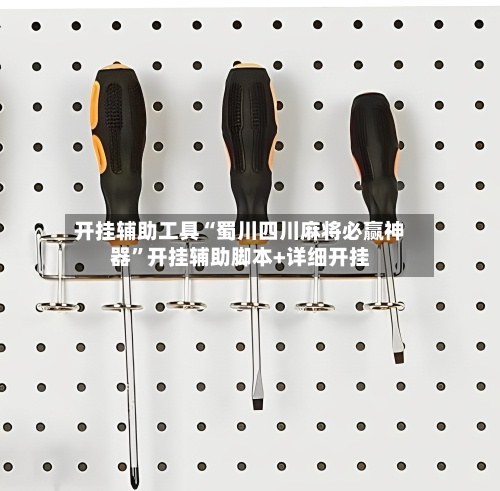 开挂辅助工具“蜀川四川麻将必赢神器	”开挂辅助脚本+详细开挂-第3张图片