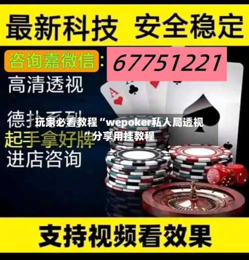 玩家必看教程“wepoker私人局透视”分享用挂教程-第3张图片