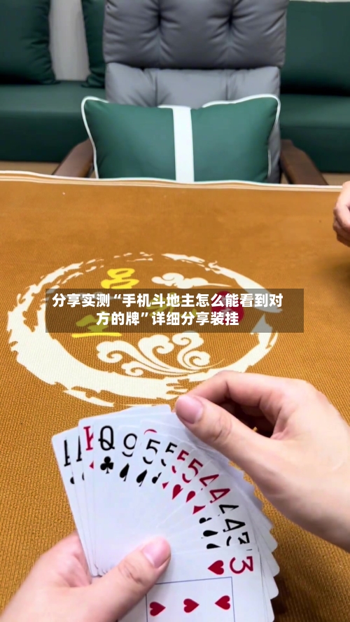分享实测“手机斗地主怎么能看到对方的牌”详细分享装挂-第1张图片