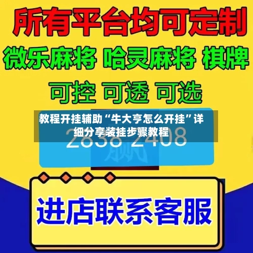 教程开挂辅助“牛大亨怎么开挂”详细分享装挂步骤教程-第1张图片
