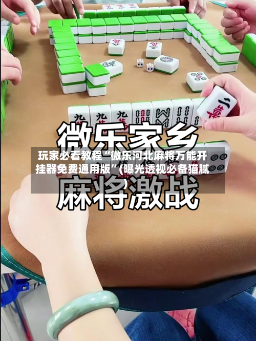 玩家必看教程“微乐河北麻将万能开挂器免费通用版”(曝光透视必备猫腻)-第1张图片