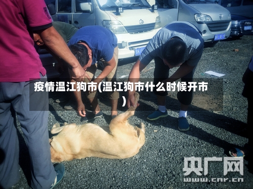 疫情温江狗市(温江狗市什么时候开市)-第1张图片