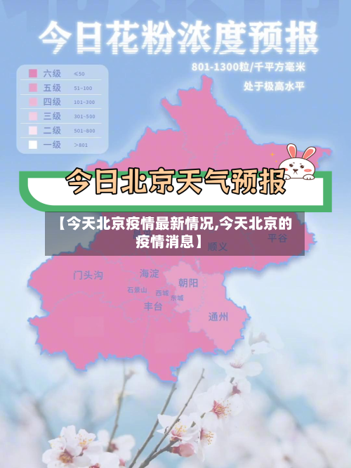 【今天北京疫情最新情况,今天北京的疫情消息】-第2张图片