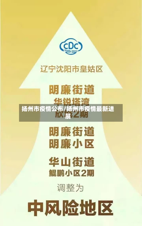 扬州市疫情公布/扬州市疫情最新进展-第2张图片