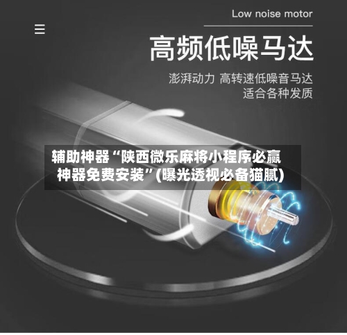 辅助神器“陕西微乐麻将小程序必赢神器免费安装	”(曝光透视必备猫腻)-第1张图片