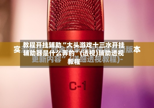 教程开挂辅助“大头游戏十三水开挂辅助器是什么弄的	”(透视)辅助透视教程-第2张图片