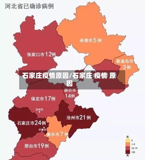 石家庄疫情原因/石家庄 疫情 原因-第2张图片