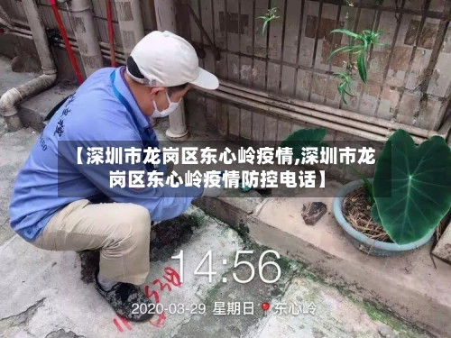 【深圳市龙岗区东心岭疫情,深圳市龙岗区东心岭疫情防控电话】-第3张图片