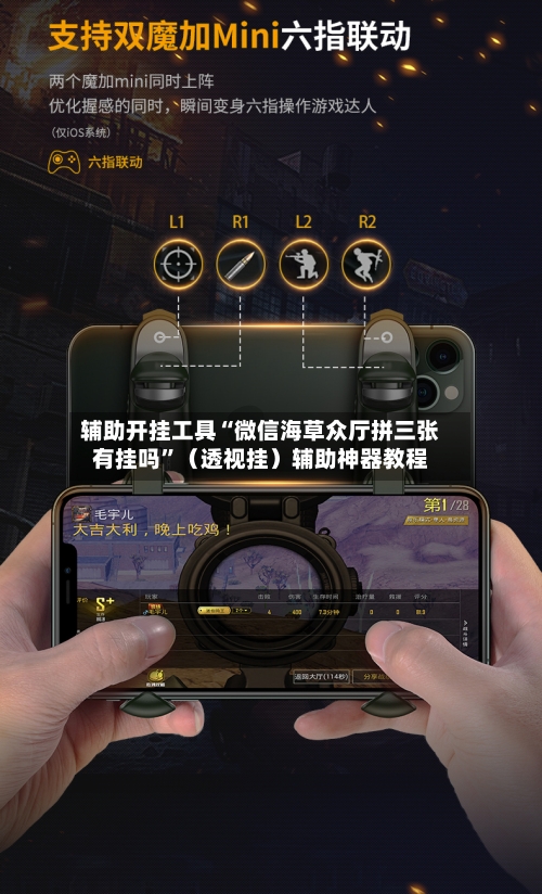 辅助开挂工具“微信海草众厅拼三张有挂吗	”（透视挂）辅助神器教程-第2张图片