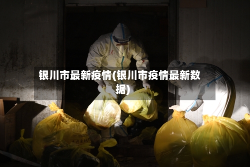 银川市最新疫情(银川市疫情最新数据)-第2张图片