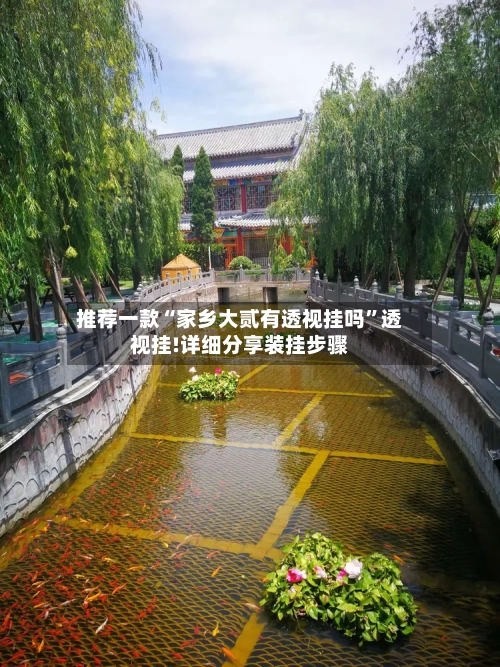 推荐一款“家乡大贰有透视挂吗	”透视挂!详细分享装挂步骤-第1张图片