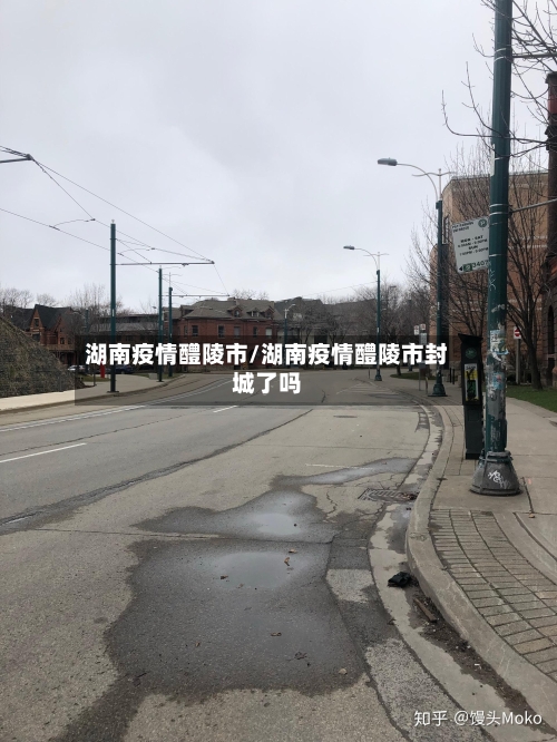 湖南疫情醴陵市/湖南疫情醴陵市封城了吗-第3张图片