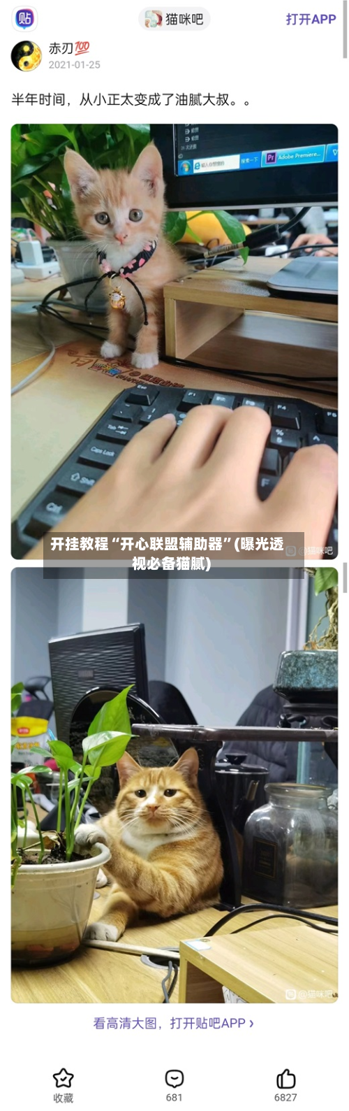 开挂教程“开心联盟辅助器	”(曝光透视必备猫腻)-第1张图片