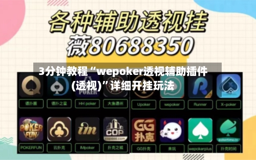 3分钟教程“wepoker透视辅助插件(透视)	”详细开挂玩法-第1张图片