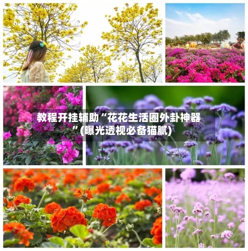 教程开挂辅助“花花生活圈外卦神器”(曝光透视必备猫腻)-第1张图片