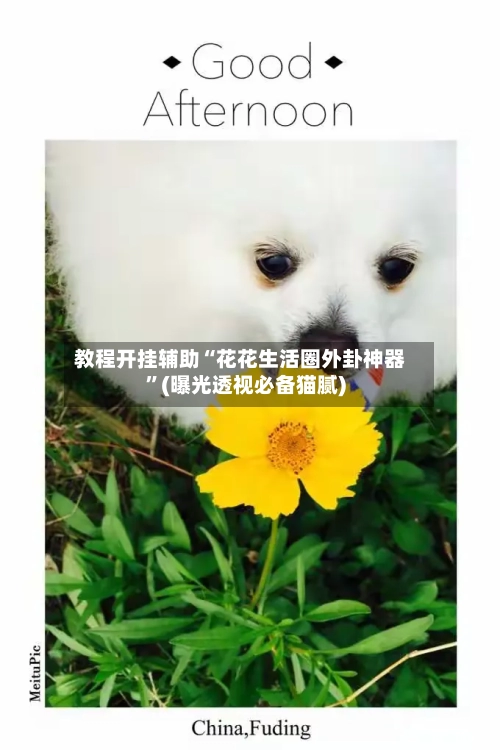 教程开挂辅助“花花生活圈外卦神器”(曝光透视必备猫腻)-第2张图片