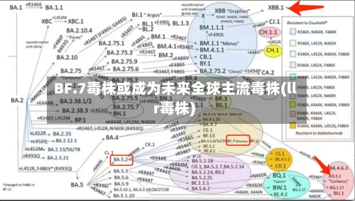 BF.7毒株或成为未来全球主流毒株(llr毒株)-第2张图片
