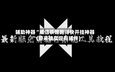 辅助神器“威信茶馆跑得快开挂神器”(原来确实是有插件)-第2张图片