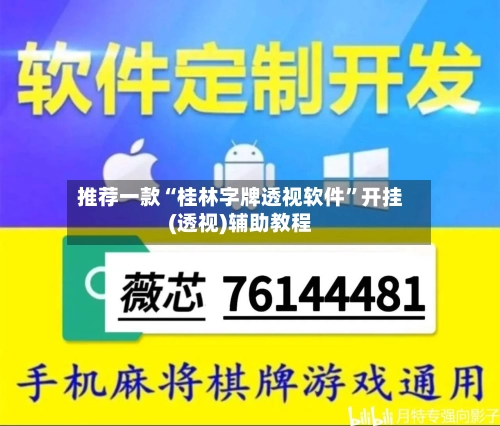 推荐一款“桂林字牌透视软件”开挂(透视)辅助教程-第1张图片