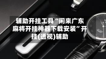 辅助开挂工具“闲来广东麻将开挂神器下载安装”开挂(透视)辅助-第3张图片