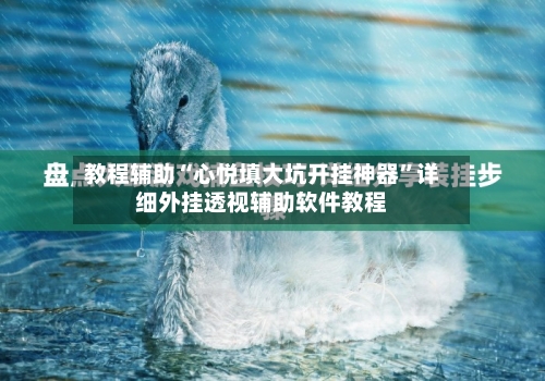 教程辅助“心悦填大坑开挂神器”详细外挂透视辅助软件教程-第2张图片