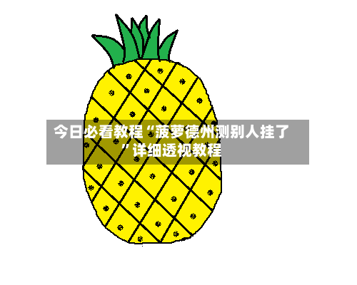 今日必看教程“菠萝德州测别人挂了	”详细透视教程-第2张图片
