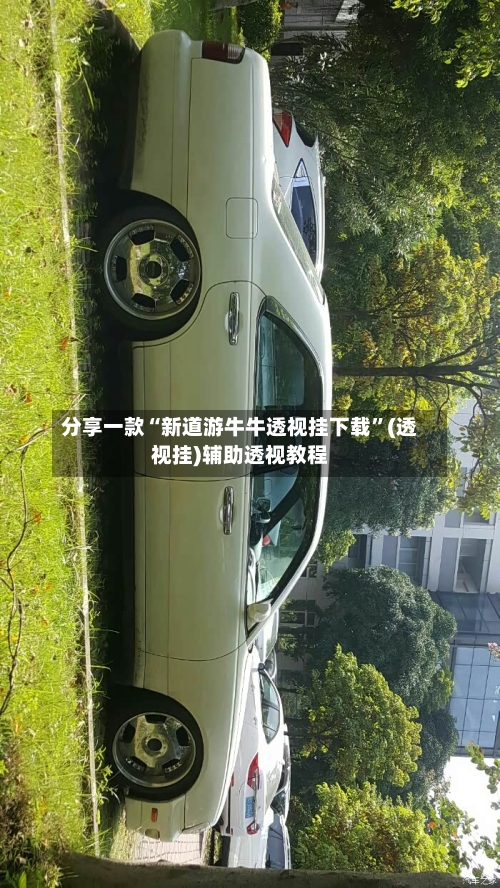 分享一款“新道游牛牛透视挂下载	”(透视挂)辅助透视教程-第1张图片