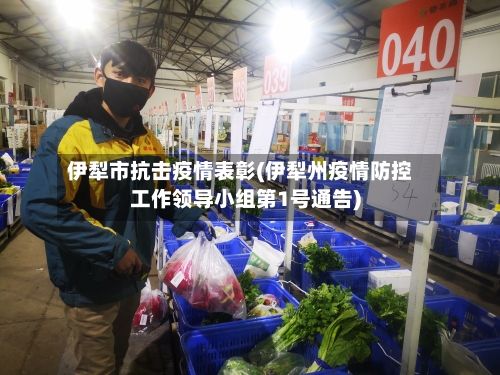 伊犁市抗击疫情表彰(伊犁州疫情防控工作领导小组第1号通告)-第1张图片