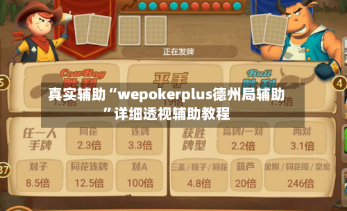 真实辅助“wepokerplus德州局辅助	”详细透视辅助教程-第1张图片