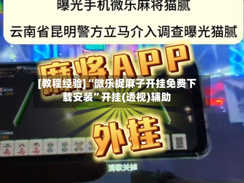 [教程经验]“微乐捉麻子开挂免费下载安装	”开挂(透视)辅助-第3张图片