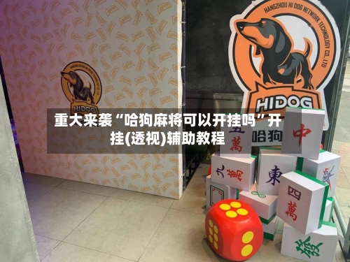 重大来袭“哈狗麻将可以开挂吗”开挂(透视)辅助教程-第2张图片