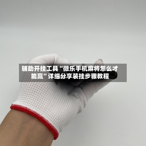 辅助开挂工具“微乐手机麻将怎么才能赢”详细分享装挂步骤教程-第2张图片