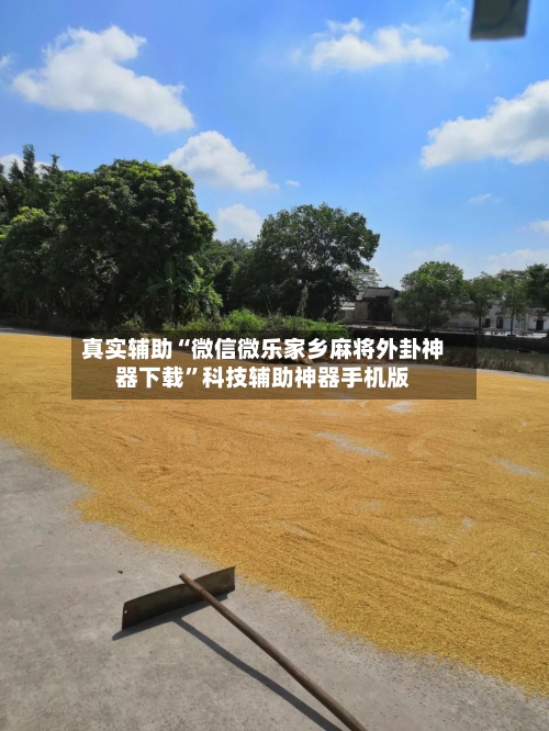 真实辅助“微信微乐家乡麻将外卦神器下载”科技辅助神器手机版-第1张图片
