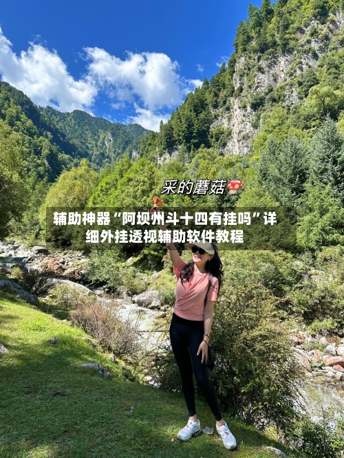 辅助神器“阿坝州斗十四有挂吗”详细外挂透视辅助软件教程-第1张图片