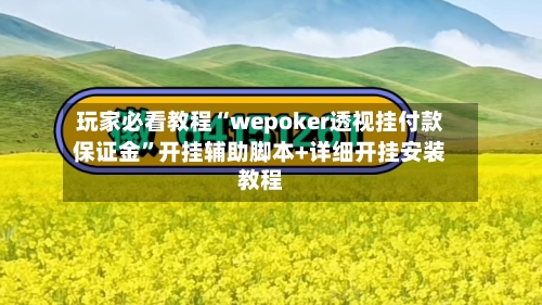 玩家必看教程“wepoker透视挂付款保证金	”开挂辅助脚本+详细开挂安装教程-第1张图片