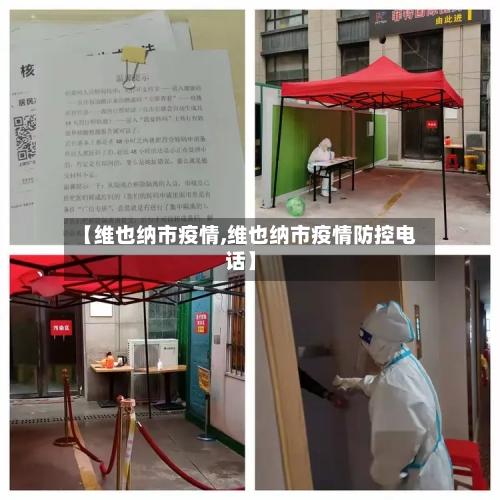 【维也纳市疫情,维也纳市疫情防控电话】-第1张图片