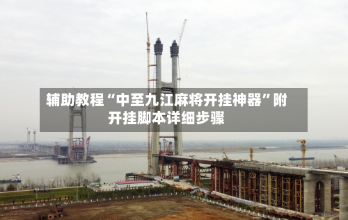 辅助教程“中至九江麻将开挂神器	”附开挂脚本详细步骤-第3张图片