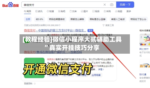 [教程经验]微信小程序大贰辅助工具	”真实开挂技巧分享-第2张图片