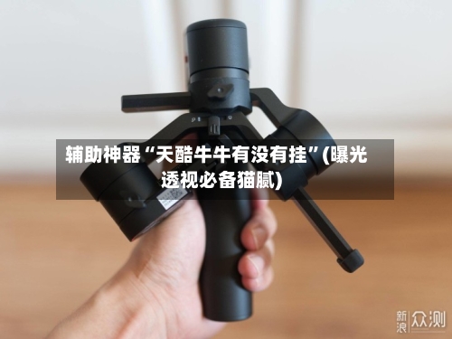 辅助神器“天酷牛牛有没有挂	”(曝光透视必备猫腻)-第1张图片